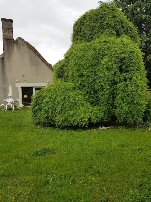 Chaumiere Avec Sa Toiture Recouverte De Chaume !!! Donnemain-Saint-Mames Esterno foto